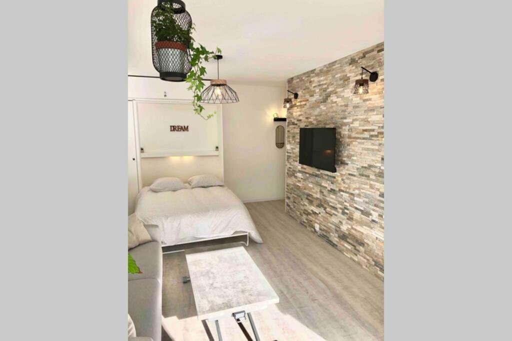 Grand Studio Cabine 30 M² Centre Ville, Refait A Neuf Pour Vous ! Climatise Ла-Гранд-Мот Экстерьер фото