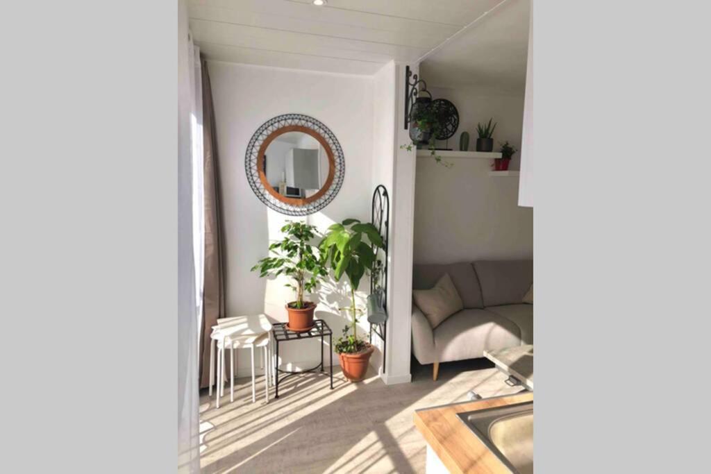 Grand Studio Cabine 30 M² Centre Ville, Refait A Neuf Pour Vous ! Climatise Ла-Гранд-Мот Экстерьер фото